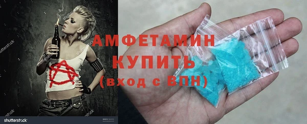 шишки Михайловск