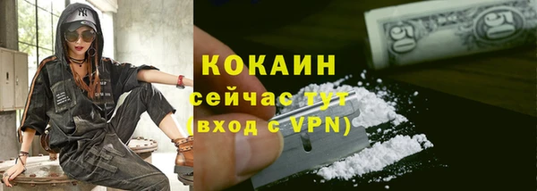сатива Михайлов