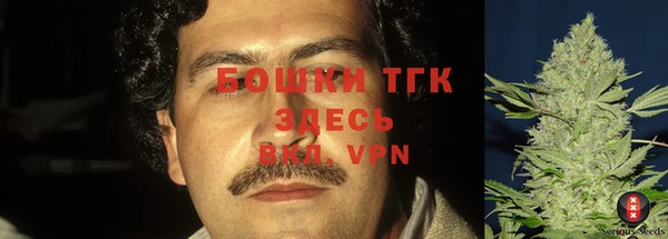 сатива Михайлов