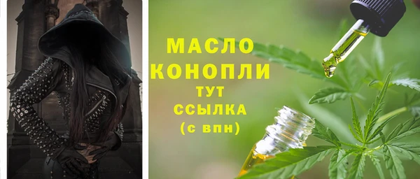 сатива Михайлов