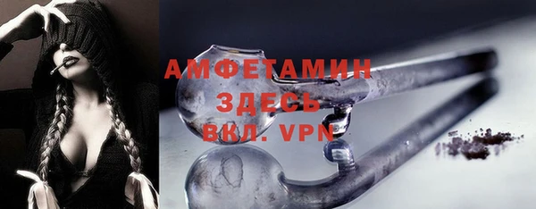 шишки Михайловск