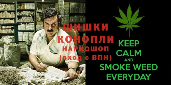 сатива Михайлов